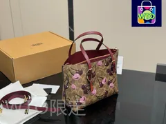 【今日特価】COACH Mollie Tote スモール 25×20cm-WT0輸入
