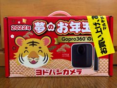 【即日発送】ヨドバシ 夢のお年玉箱 GoPro360°の夢