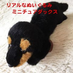 激レア キティ ワンコシリーズ ミニチュアダックス ダックス