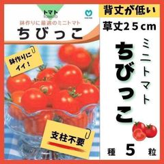 【野菜の種】支柱不要！草丈25cm背丈低いミニトマト「ちびっこ」種５粒