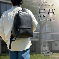 42582 ハミルトンG馬革Dパック