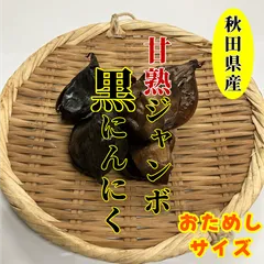 秋田県産　ジャンボ黒にんにく　おためしサイズ　訳あり　黒にんにく　にんにくのサムネイル