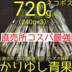 島らっきょう 10kg （〈直売所コスパ最強〉沖縄県産 島