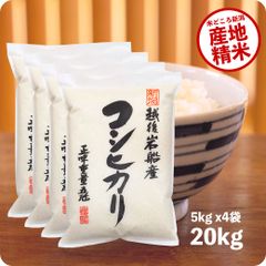 米 岩船産コシヒカリ20kg  お米 令和5年産 白米