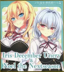 2025年最新】ノラと皇女と野良猫ハート2 色紙の人気アイテム