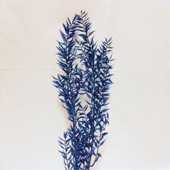 東北花材 ソフトラスカス 海 (新仕様) 新品1束