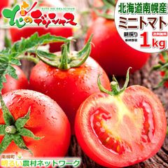【出荷中】 北海道 南幌町産 ミニトマト 3種 詰め合わせ 1kg (おまかせ/冷蔵便) 南幌町明るい農村ネットワーク トマト プチトマト 朝採り 新鮮 鮮度抜群 お中元 ギフト 贈り物 ご家庭用 野菜 産地直送 お取り寄せ