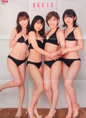 Item thumbnail for item 7d1f2839-1b7a-4569-9069-6d5b94780ff7