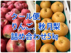 【クール便】りんご　秋月梨　詰め合わせ　5㎏