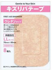 Item thumbnail for item bf9bd8d9-ca09-418b-8b6d-f5f0aa0b2a89