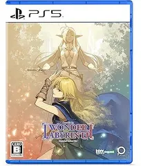 【中古】(非常に良い)ロードス島戦記-ディードリット・イン・ワンダーラビリンス- - PS5