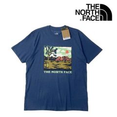 ノースフェイス 半袖 Tシャツ US限定 グラフィック 青 180902