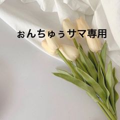 ぉんちゅぅサマ専用