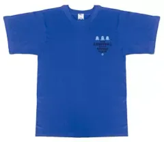 【中古】Tシャツ(キャラクター) 青峰大輝 夏休みTシャツ～緑間・青峰・紫原～ ブルー 女性Lサイズ 「黒子のバスケ」