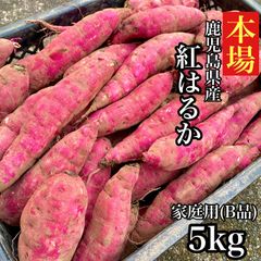 600円OFFクーポン◎【本場】紅はるか 訳あり 5kg さつまいも シルクスイート好きに