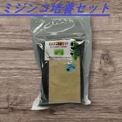 ミジンコ培養セット（送料込み）のサムネイル