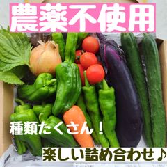農薬不使用  有機肥料  自然農法  無農薬  夏野菜  詰め合わせ