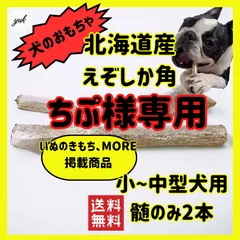 【大口注文】chico\'_\'様専用　ロイヤルカナン柴犬成犬用8kg ×2個 ドッグフード