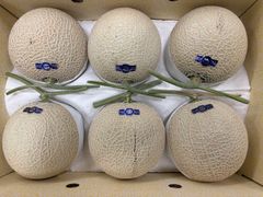 高知産　マスクメロン　5~6玉入 お値引中‼️高知産 マスクメロン 5～6玉入り 約9キロから10キ