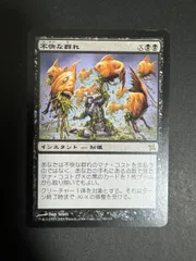 MTG 不快な群れ　日本語