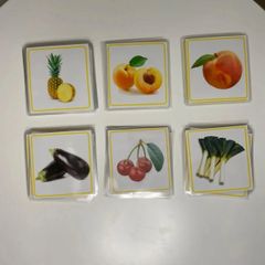 ラミネートカード　5カテゴリー