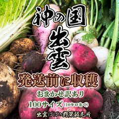 【限定販売】神の国・出雲産 季節の野菜詰め合わせ 100サイズ 約8～10キロ