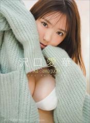 新品 未開封 沢口愛華 2023年 カレンダーB2サイズ 特典ボーナスページ