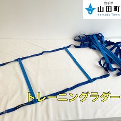 トレーニングラダー　TOEI  LIGHT 【tdk-014】