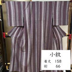トールサイズ 紗 夏着物 小紋 洗える着物 縦紬風 単衣 グラデーション