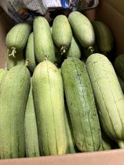沖縄県産　へちま（ナーベーラー）1キロ