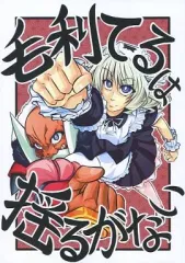 海洋堂 ランス シリーズ ワーグ ガレージキット 鬼畜王ランス アリスソフト 海洋堂 ランス シリーズ ワーグ ガレージキット 鬼畜王ランス