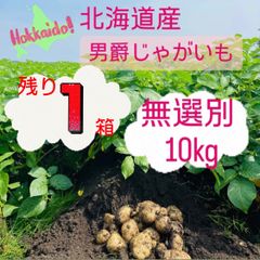 北海道　じゃがいも　無選別　10キロ