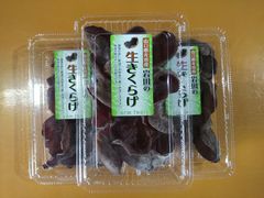 菊芋パウダー 山口県産 内容量100g x 2個 - メルカリ