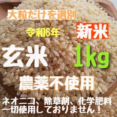 【大粒】  農薬不使用   ヒノヒカリ  玄米 1kg   新米さくらの玄米