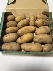 無農薬　じゃがいも　メークイン　1.４kg以上