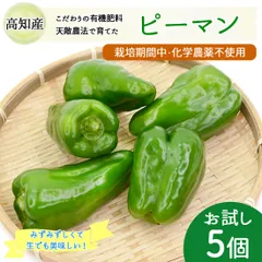 ピーマン おためし5個 天敵農法 かめのこ農園 栽培期間中 化学肥料不使用 高知産 国産 安心 安全 産地直送 野菜 ヤマト発送