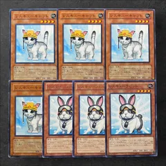 韓国希少レスキューラビット 大会シークレット