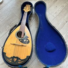 SUZUKI VIOLIN マンドリン 本体 ハードケース付 - メルカリ