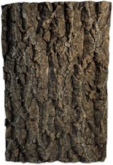 Item thumbnail for item 4f83a07b-b069-42f9-beeb-b984f1de16ab