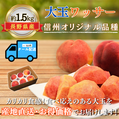 大玉ワッサー〜信州生まれの新食感フルーツ〜【内容量】約1.5kg【配送方法】クール配送【サイズ】L以上【品目】ワッサー【品種】当店お任せ【産地】長野県【規格】ご家庭用A品【販売会社】有限会社青木青果