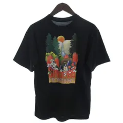 ザノースフェイス THE NORTH FACE 美品 Tシャツ カットソー 半袖 NT32105 バックプリント 黒 ブラック S