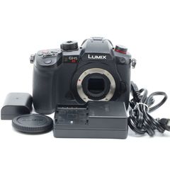 美品 ショット数3608回　LUMIX GH5S　パナソニック