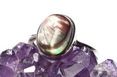 Item thumbnail for item cbe13a8b-1aee-4997-b216-618149352787