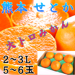 愛媛産 柑橘 みかん せとか2~3L (赤秀品/5~6玉入) 柑橘類 みかん ミカン 蜜柑 果物 フルーツ 誕生日プレゼント
