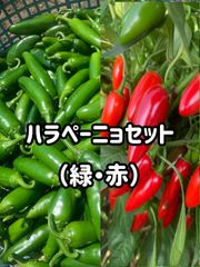 ハラペーニョ　セット（緑・赤）500g前後