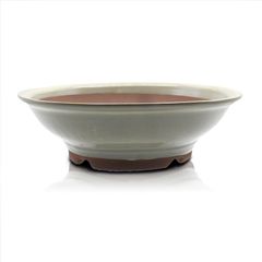 【未使用】盆栽鉢 大型 8号 丸陣笠鉢 白色 クリーム釉 四日市萬古焼 約24セ ンチ 陶器 浅型 雑木 松柏 中型 中品 植木鉢 苔 うめきち盆栽用品店