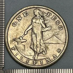 アメリカ　イーグル銀貨　PCGS シルバーイーグル　MS69 2025年 銀貨 シルバーイーグル銀貨 MS69 PCGS アメリカ イーグル銀貨 PCGS