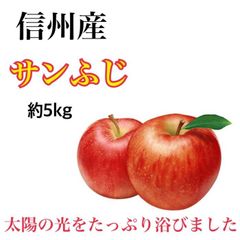 信州産　りんご　　　　　　　　　　🍎サンふじ🍎　約5kg