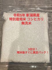 令和5年 新潟県産 特別栽培米 コシヒカリ 無洗米 3合 450g 真空パック
