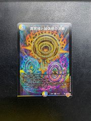 ●272　デュエマ　真気楼と誠偽感の決断　25RP1　SR　S7/S11